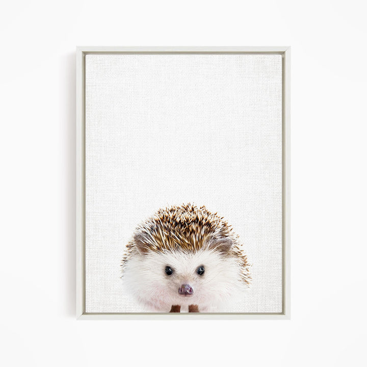 A cute hedgehog peeking out from behind a white background.