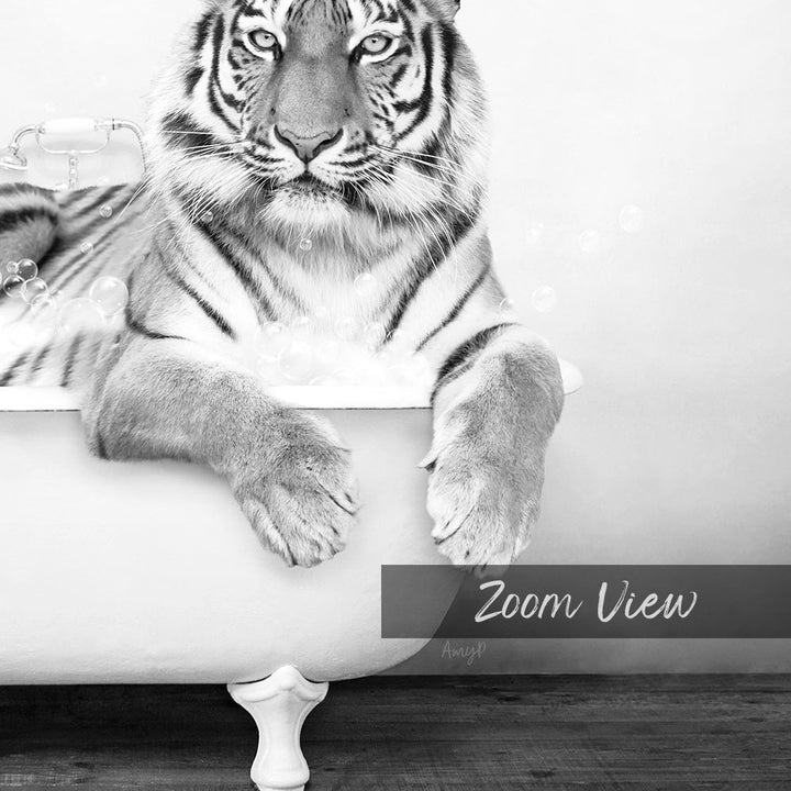A tiger resting in a bathtub, surrounded by bubbles, with the text "Zoom View" overlaid on the image.