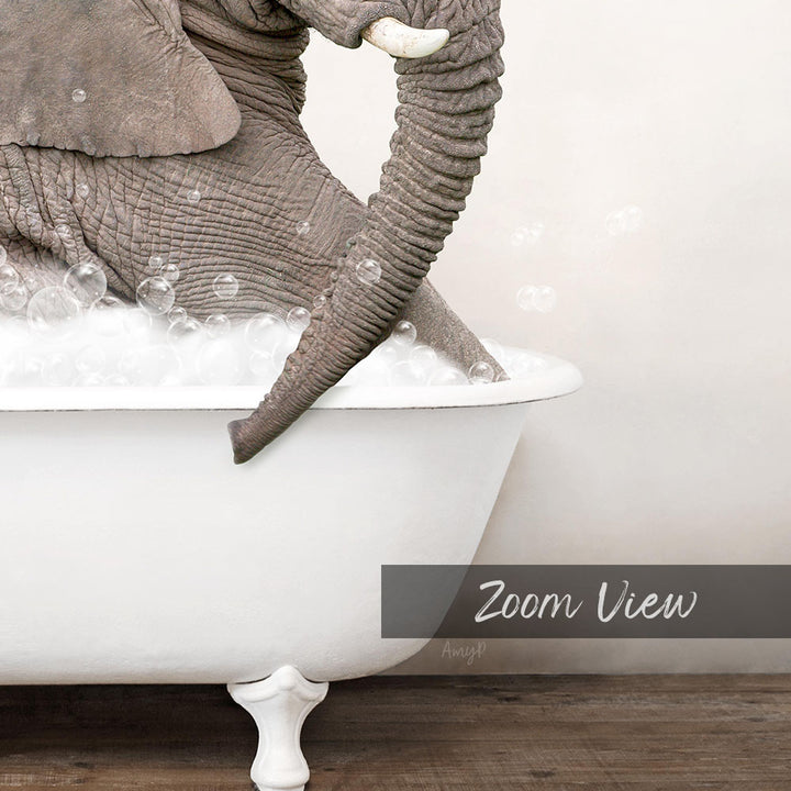 A close-up of an elephant sitting in a bathtub filled with bubbles, with the text "Zoom View" below the image.