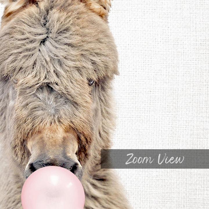 A close-up of a donkey blowing a pink bubble with its mouth, against a white background.
