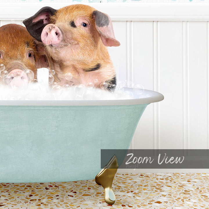 Two adorable pigs sitting in a light blue bathtub filled with bubbles, enjoying a bath together.