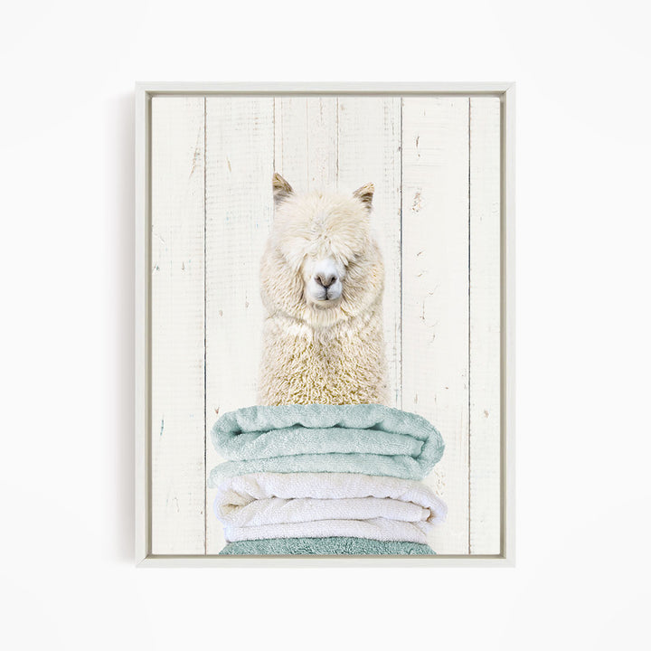A fluffy white alpaca sits atop a stack of light blue and white towels, with a white wooden wall in the background.