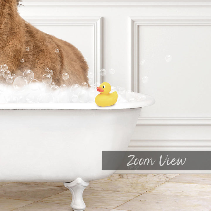 A brown dog is sitting in a white bathtub filled with bubbles, with a yellow rubber duck floating on the water.