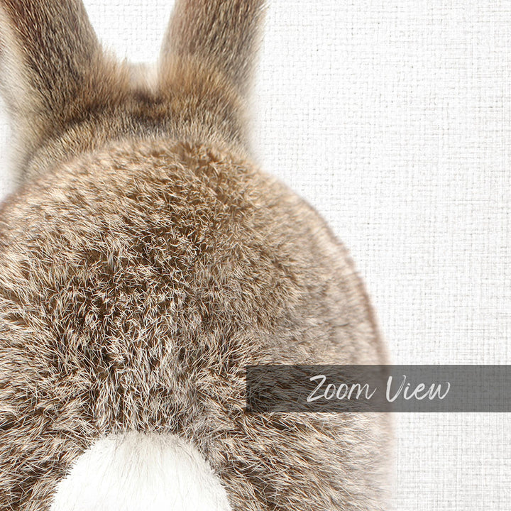the back of a fluffy, brown rabbit's tail against a plain white background.