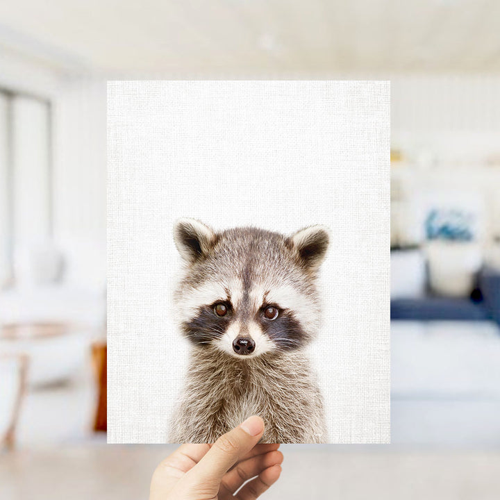 A person's hand is holding up a framed print of a raccoon's face, which is the main focus of the image.