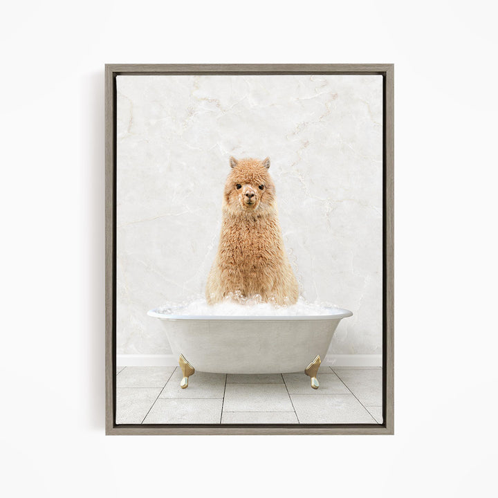 A fluffy brown alpaca sitting in a white bathtub filled with bubbles, looking directly at the camera.
