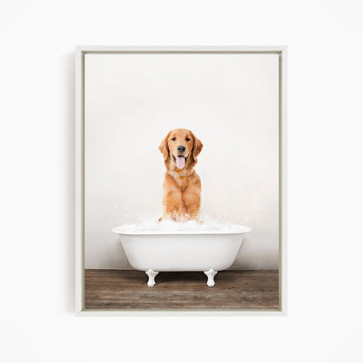 A golden retriever dog sitting in a white bathtub filled with water, appearing to be enjoying a bath.