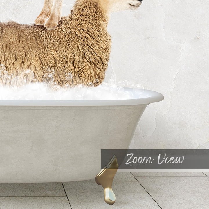 A fluffy brown sheep is sitting in a white bathtub filled with bubbles, with a gold bathtub faucet visible.