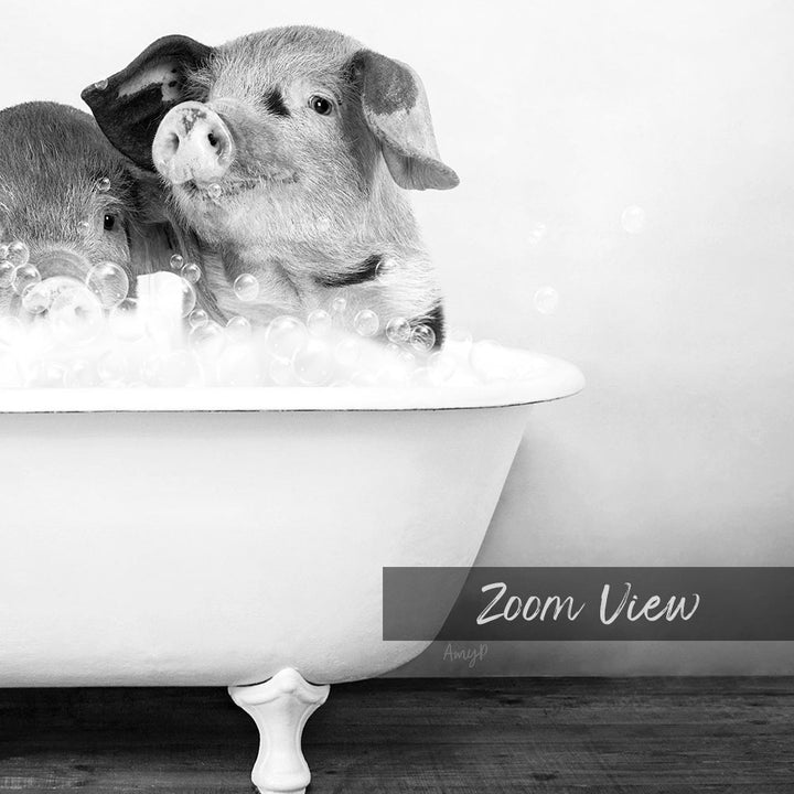 A black and white image of two pigs sitting in a bathtub filled with bubbles, with the text "Zoom View" overlaid on the image.