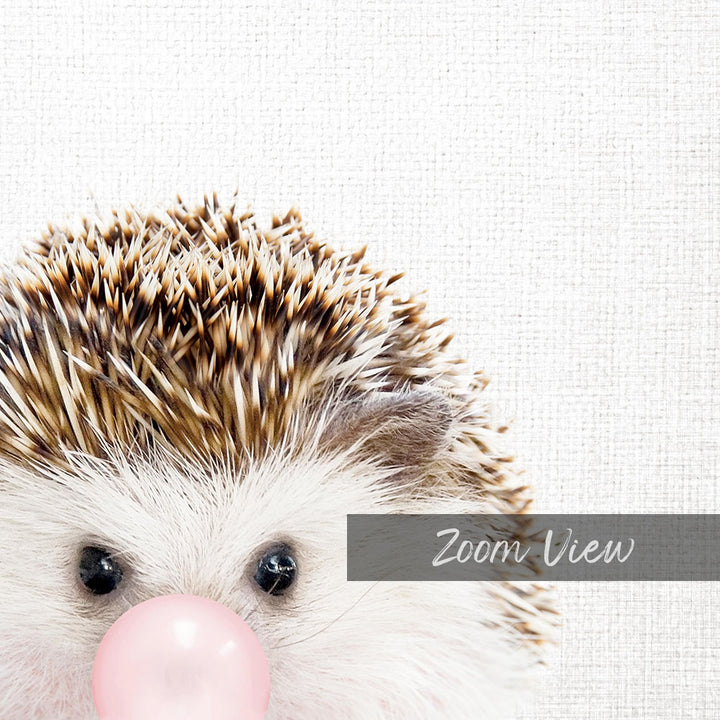 A close-up of a hedgehog's face with its eyes and nose, and a pink bubble around its nose, against a plain white background.