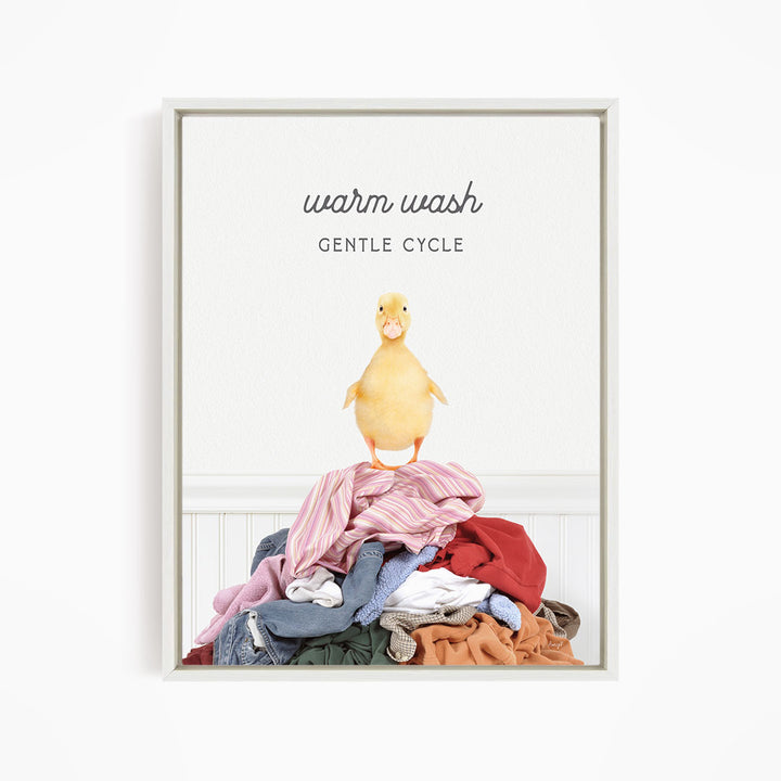 A yellow duck standing on a pile of clothes, with the text "Warm wash Gentle Cycle" above the image.