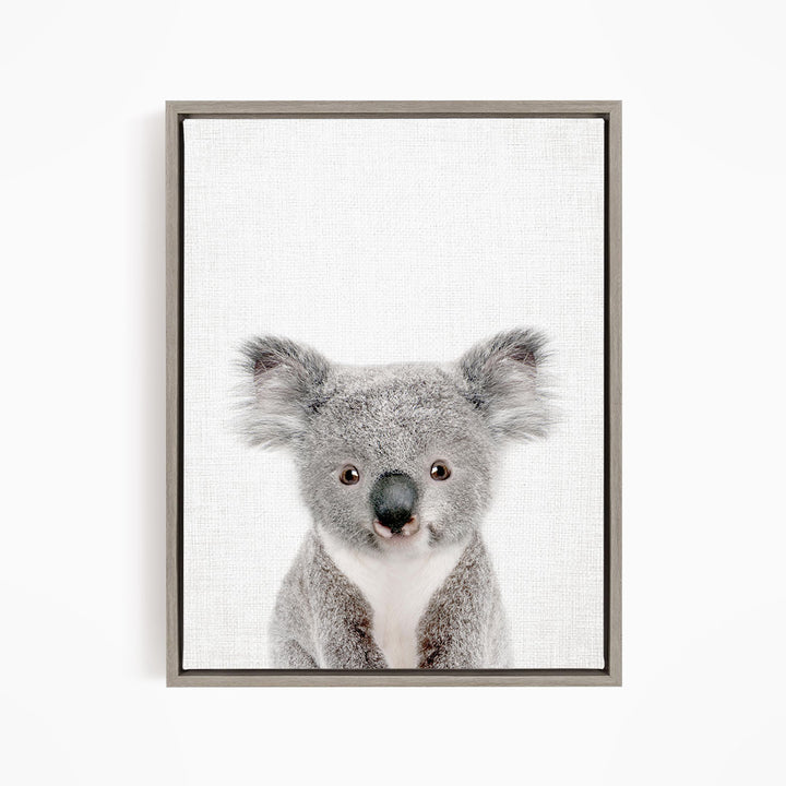 A framed photograph of a koala bear with a neutral expression, looking directly at the camera.
