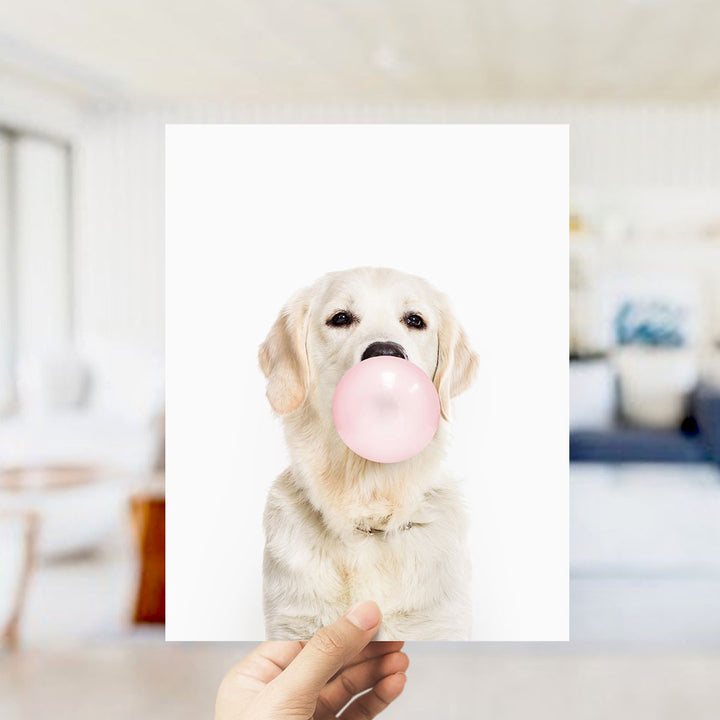 A white dog is holding a pink bubble gum bubble in its mouth, with a blurred background suggesting an indoor setting.