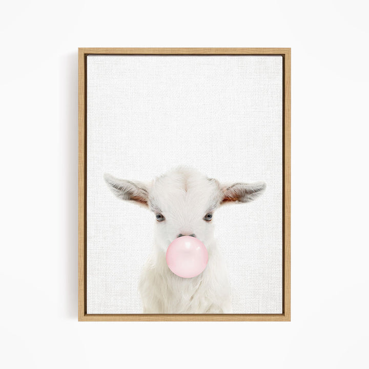 A white goat with pink bubble gum blowing in its mouth is the main subject of the image.