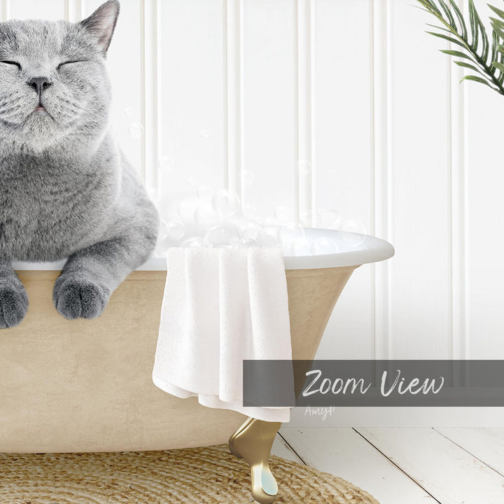 A gray cat sitting in a bathtub filled with bubbles, with a towel and plant nearby.