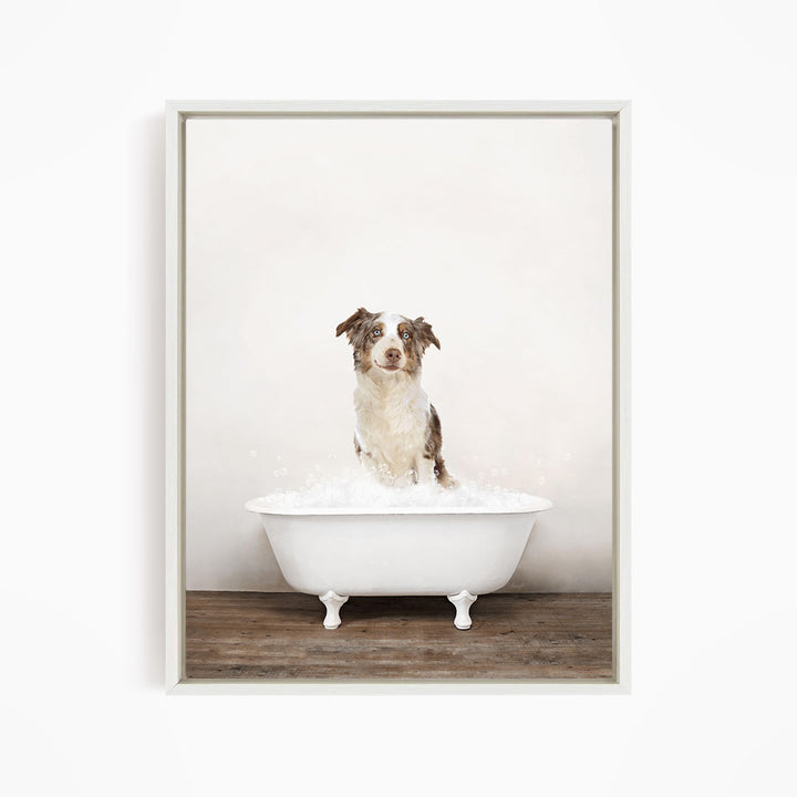 A dog sitting in a white bathtub filled with water, looking directly at the camera.