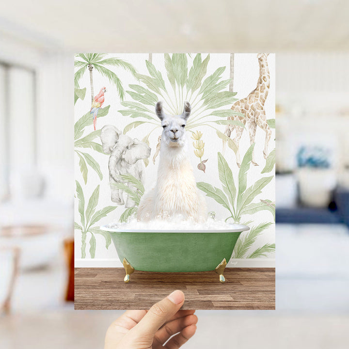 A hand holds up a framed image depicting a white llama sitting in a green bathtub, surrounded by tropical foliage and animals.