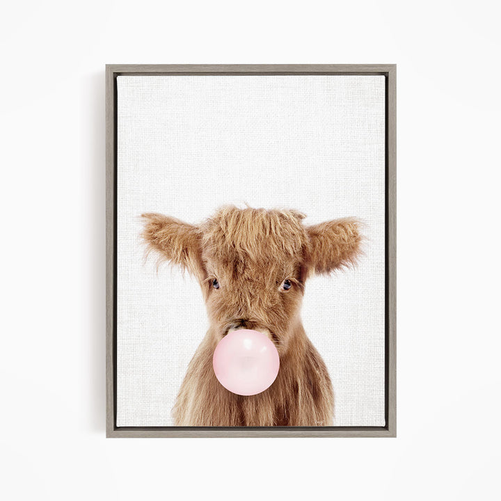 A brown cow with shaggy fur blowing a pink bubblegum bubble.