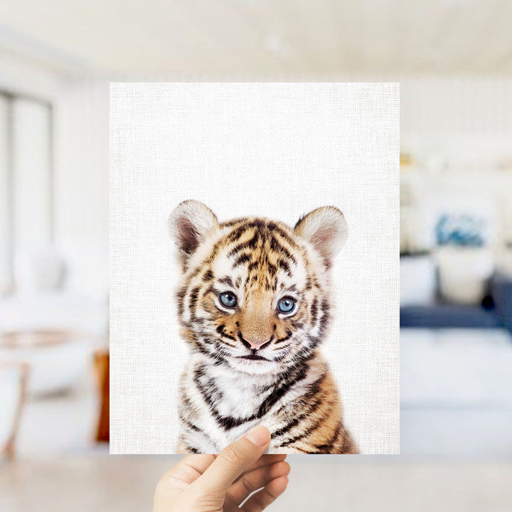 A hand is holding up a framed photograph of a young tiger cub with its striking blue eyes and distinctive striped pattern.