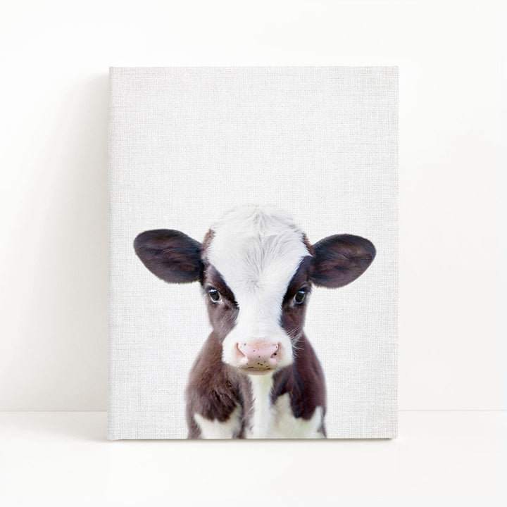 A close-up portrait of a black and white cow with a pink nose, looking directly at the camera.