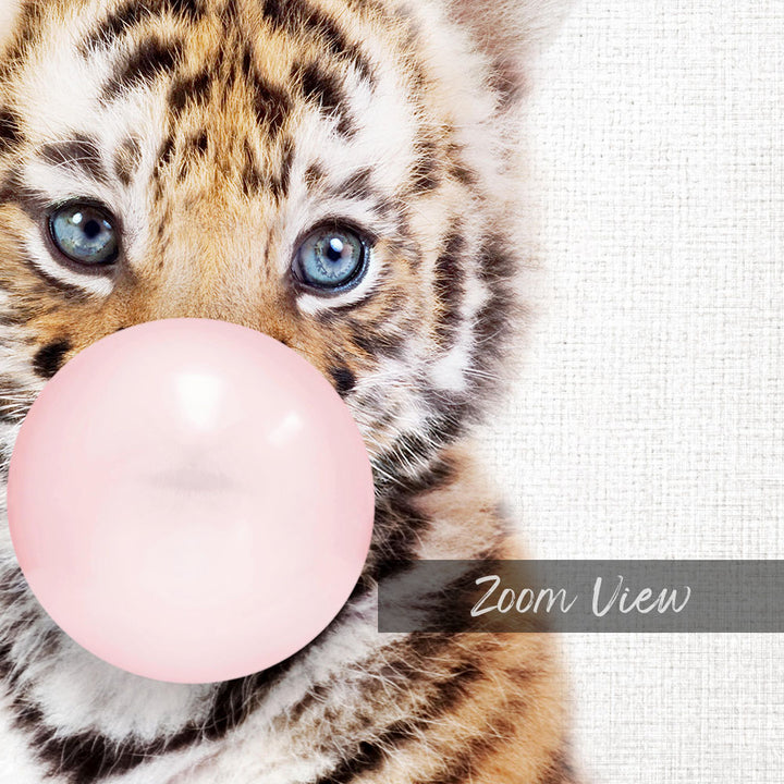 A close-up of a tiger cub blowing a bubble with a pink bubble gum bubble.