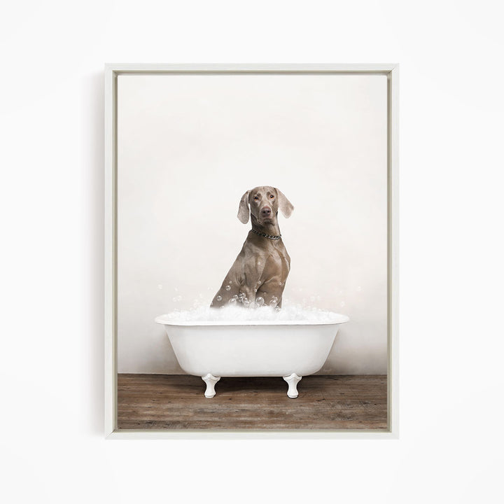 A dog sitting in a white bathtub filled with bubbles, looking directly at the camera.