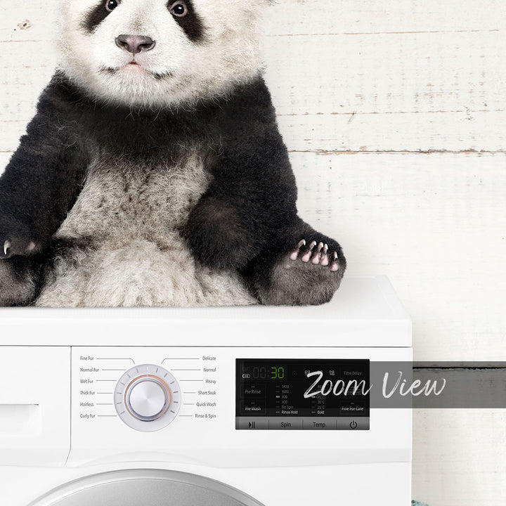 A panda bear sitting on top of a washing machine.
