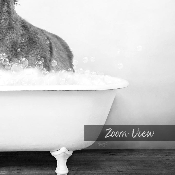 A cat sitting in a bathtub filled with bubbles, with the text "Zoom View" overlaid on the image.