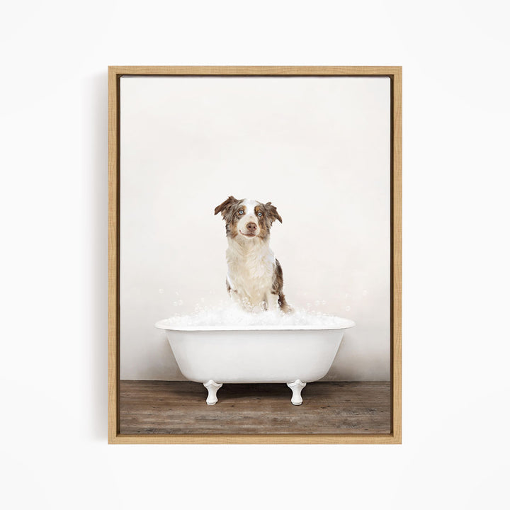 A dog sitting in a white bathtub filled with water, looking directly at the camera.