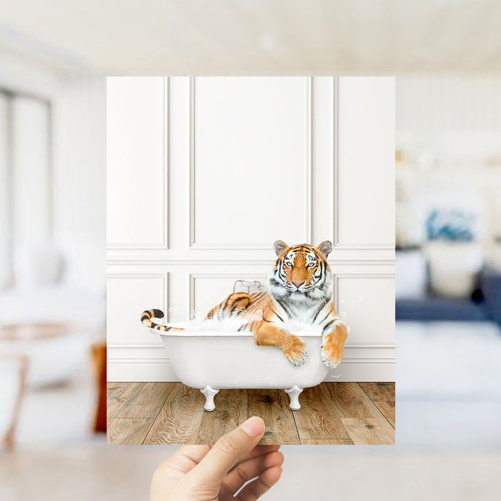 A tiger is sitting in a white bathtub, appearing relaxed and comfortable.