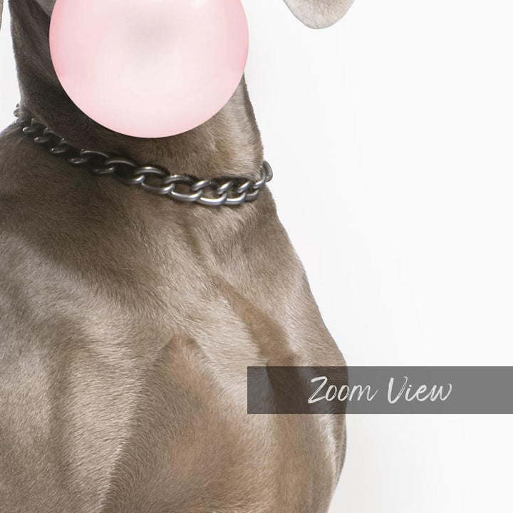 a dog with a pink bubble in its mouth