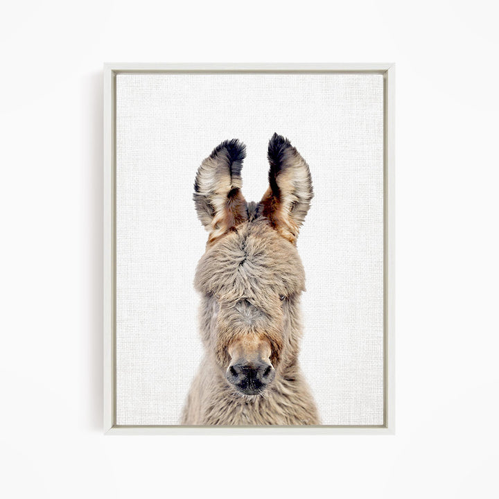 A close-up portrait of a donkey with its head turned to the side, revealing its long, shaggy fur and large ears.