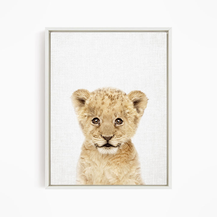 A young lion cub with a curious expression, looking directly at the camera.