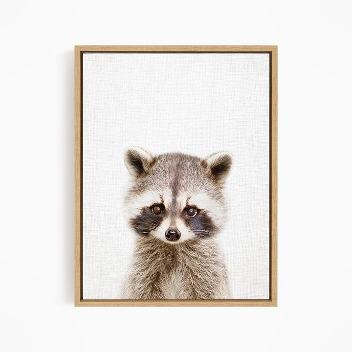 A raccoon with large eyes and a curious expression is the focus of the image.