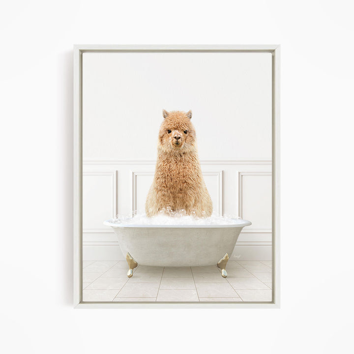 A fluffy brown dog sitting in a white bathtub filled with water, looking directly at the camera.