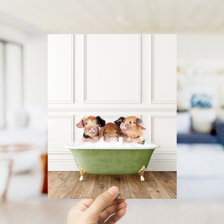 A hand holding a photograph of three adorable pigs sitting in a green bathtub, with a blurred background suggesting a bathroom setting.