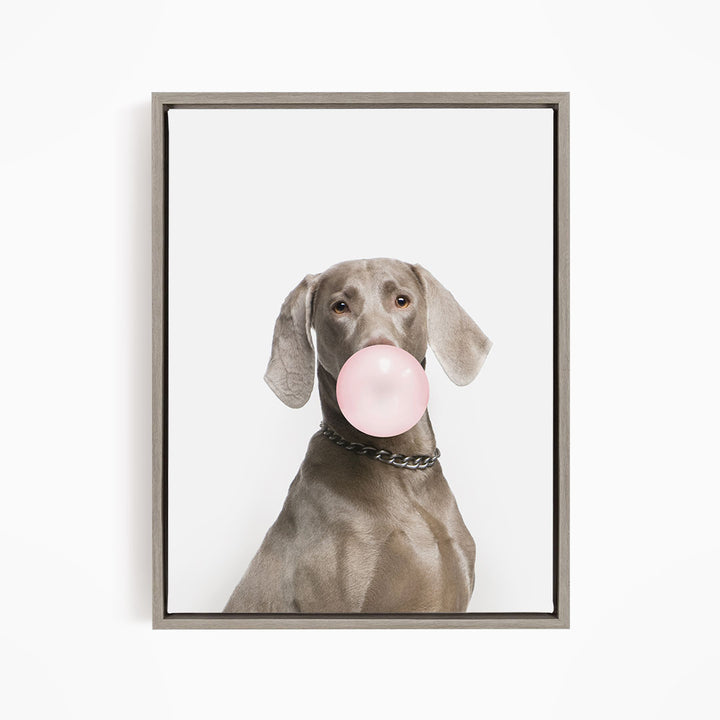 A dog is blowing a bubble with a pink bubble gum bubble, wearing a chain collar.