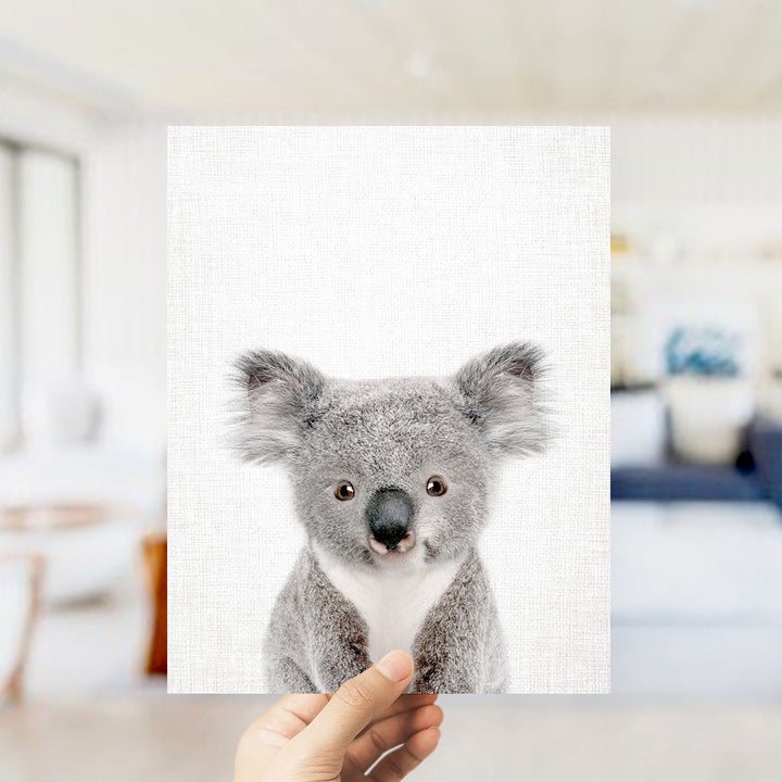 A hand is holding up a white square with a close-up image of a koala bear on it.