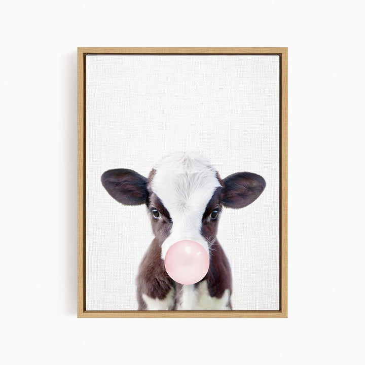 A cute black and white cow with a pink bubble in its mouth, looking directly at the camera.