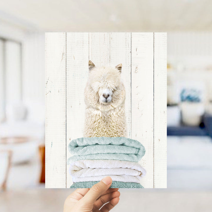 A hand is holding up a framed image of a fluffy white alpaca with its head resting on a stack of folded towels.