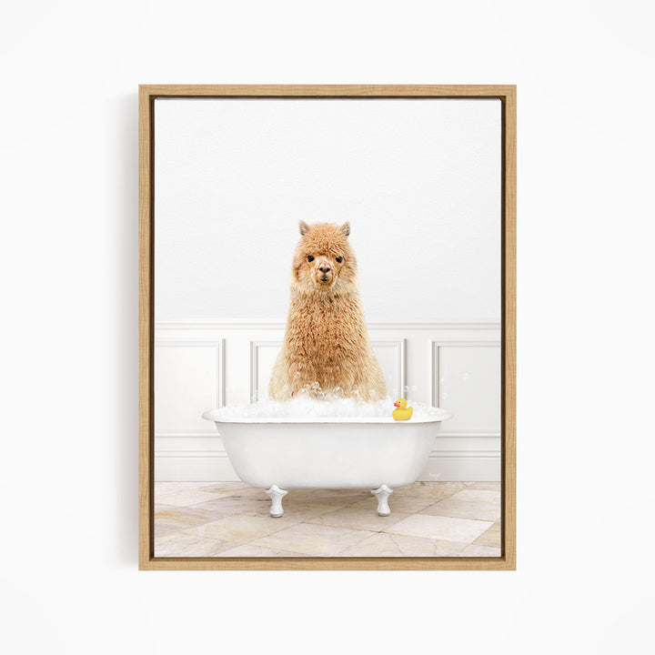 A fluffy brown alpaca sits in a white bathtub filled with bubbles, with a rubber duck floating nearby.