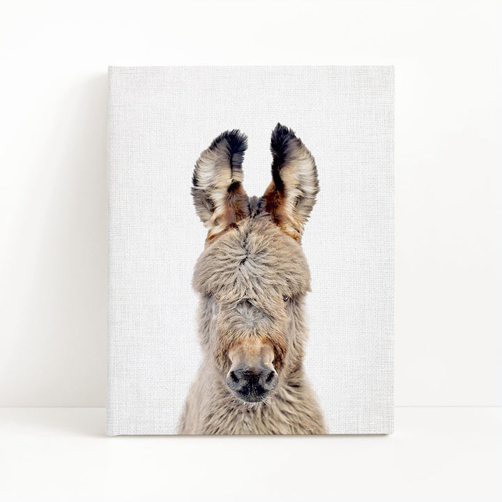 A close-up portrait of a donkey with its head turned to the camera, showcasing its distinctive features such as its large ears and nose.