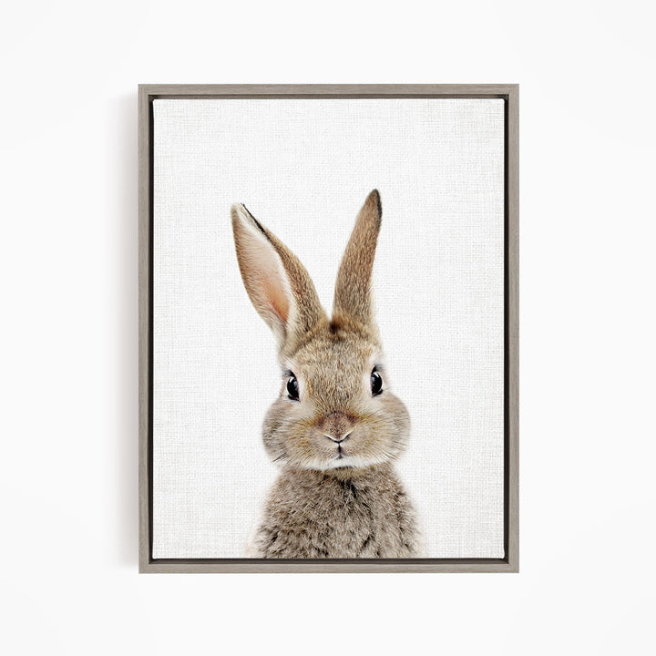 A cute, fluffy rabbit with large ears and a curious expression is the main subject of the image.