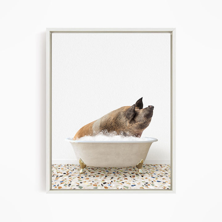 A brown pig sitting in a white bathtub filled with water, looking up at the camera.