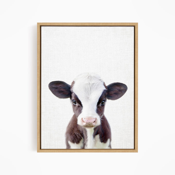 A framed image of a black and white cow with a pink nose, looking directly at the camera.