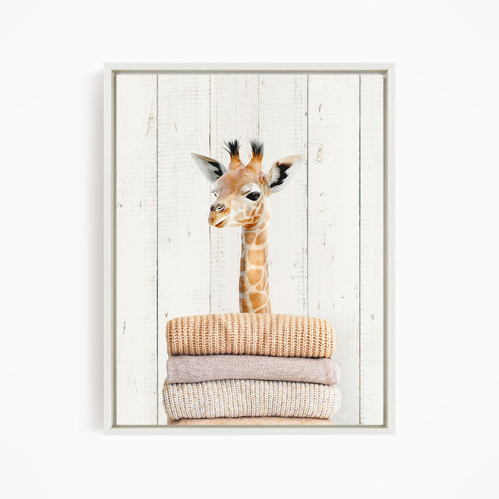 A giraffe standing behind a stack of folded blankets, with a white wooden background.