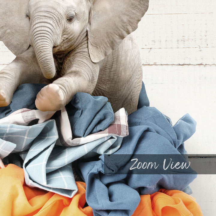 A baby elephant sitting on a pile of clothes, with the text "Zoom View" overlaid on the image.