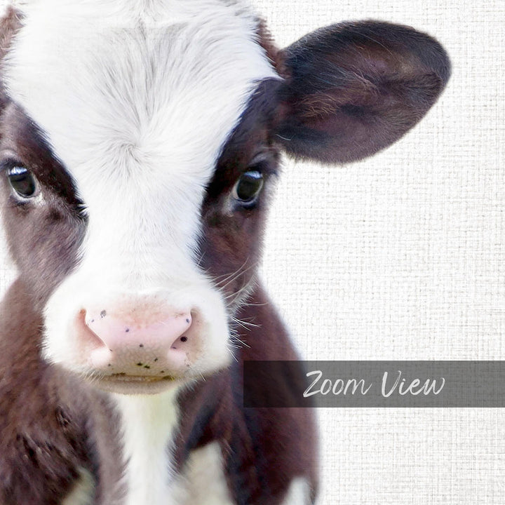 A close-up of a cow's face, with its eyes and nose prominently featured against a white background.