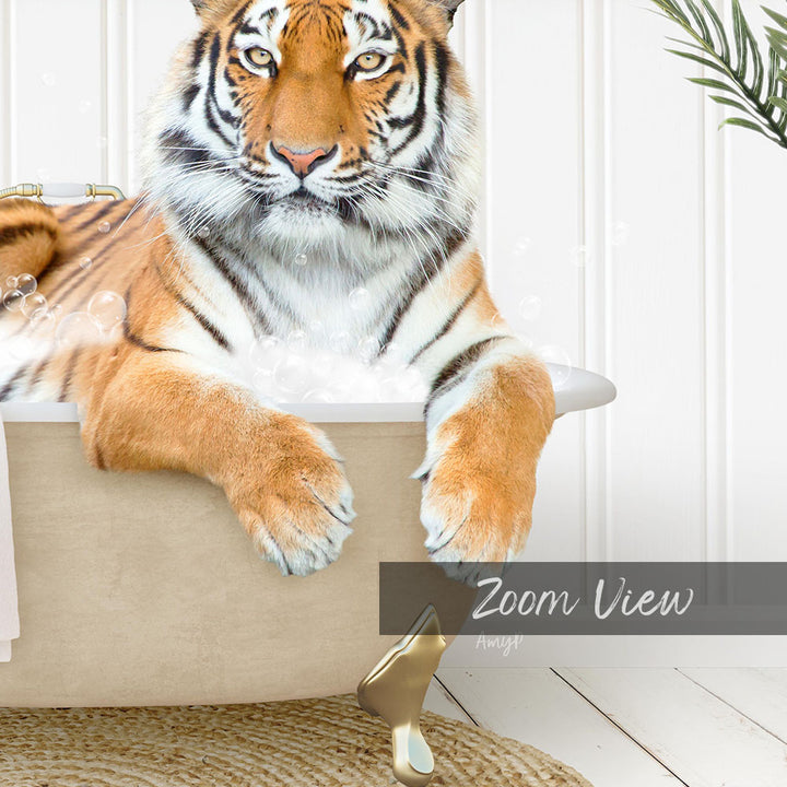 A tiger resting in a bathtub filled with bubbles, with the text "Zoom View" and "Amly" visible.