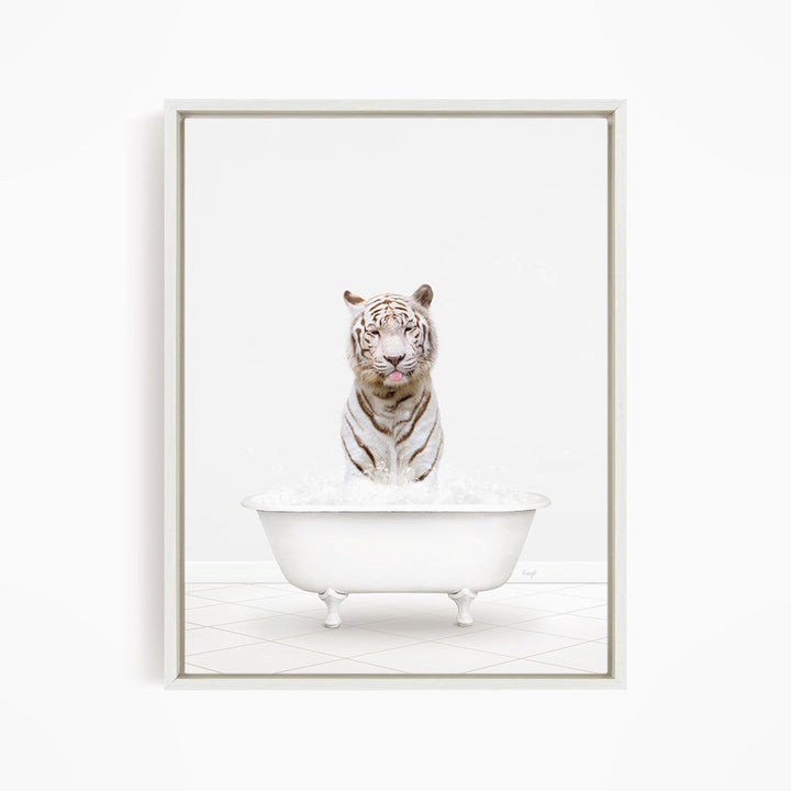 A white tiger is sitting in a white bathtub filled with water, looking directly at the camera.